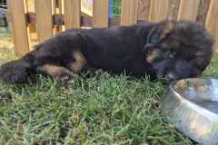 dad30753-8535-4ad0-8596-eafd5a15409f